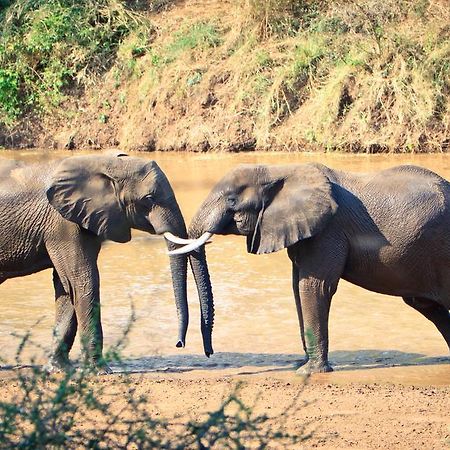 Mtomeni Safari Camp Hotel Phalaborwa Luaran gambar