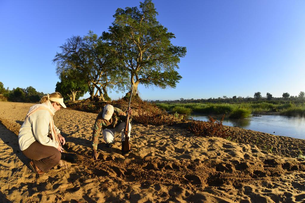 Mtomeni Safari Camp Hotel Phalaborwa Luaran gambar