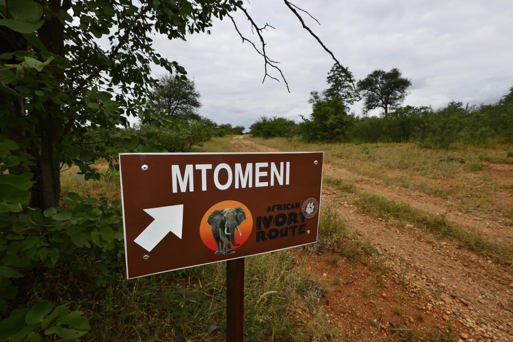 Mtomeni Safari Camp Hotel Phalaborwa Luaran gambar