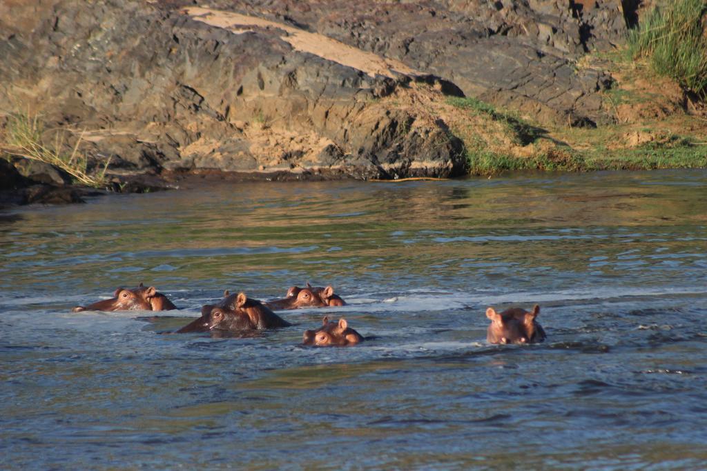 Mtomeni Safari Camp Hotel Phalaborwa Luaran gambar