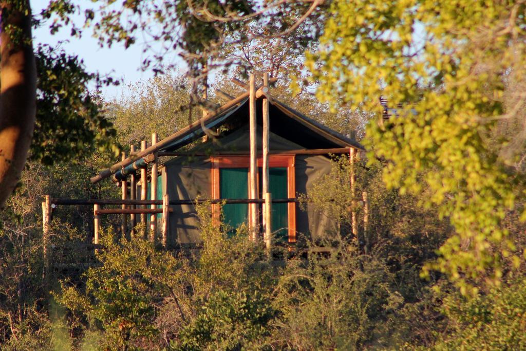 Mtomeni Safari Camp Hotel Phalaborwa Luaran gambar